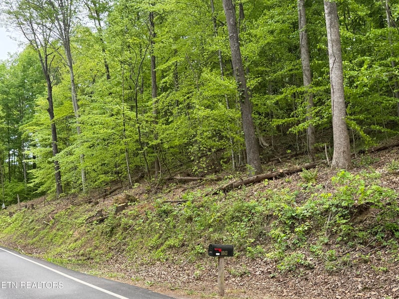 lots A-B Alder Springs Rd, Lafollette, TN 37766