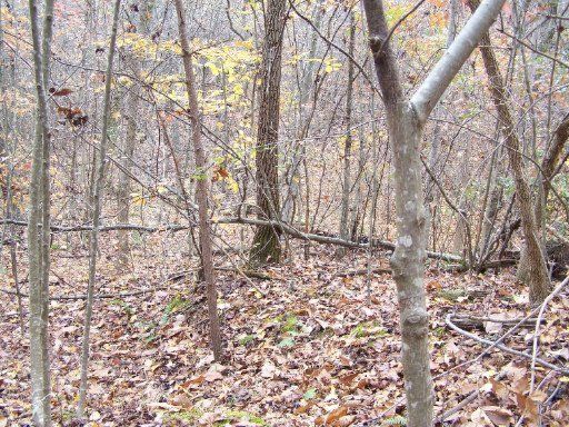 Lt 100 Black Hawk Dr, Ten Mile, TN 37880