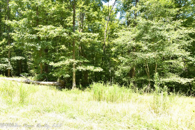 Lt. 13 Eagle Ridge Rd, Rockwood, TN 37854
