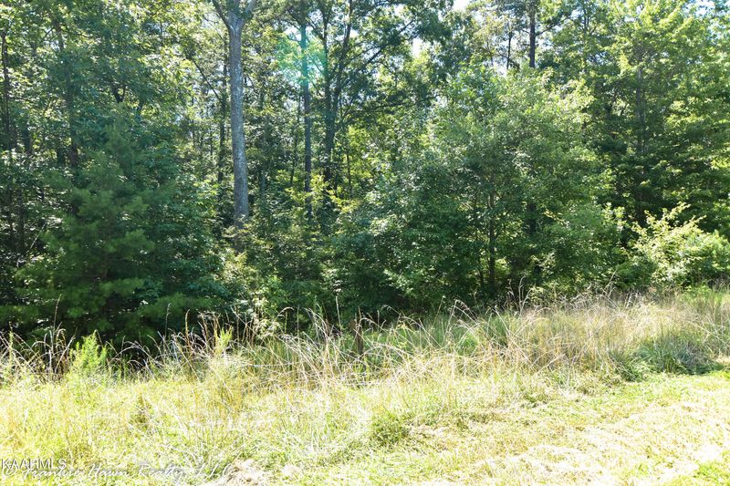 Lt. 13 Eagle Ridge Rd, Rockwood, TN 37854