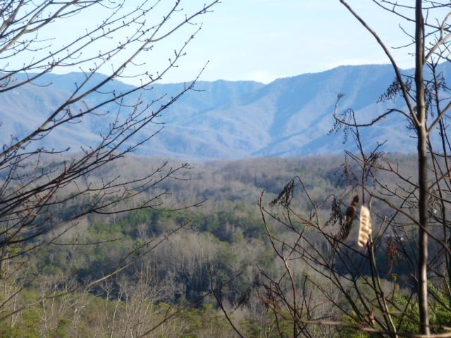 Lt. 7 Mountain Blvd, Sevierville, TN 37876