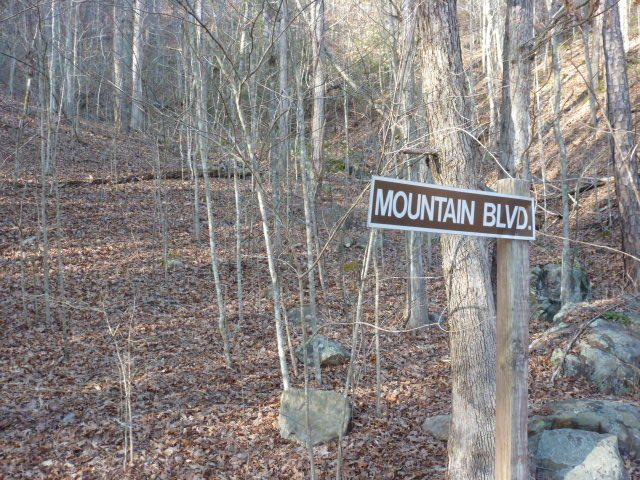 Lt. 7 Mountain Blvd, Sevierville, TN 37876