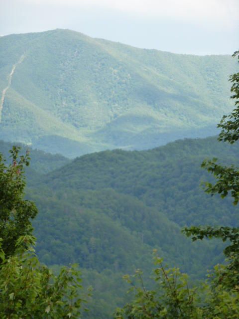 Lt. 94w Long Rifle Rd, Walland, TN 37886