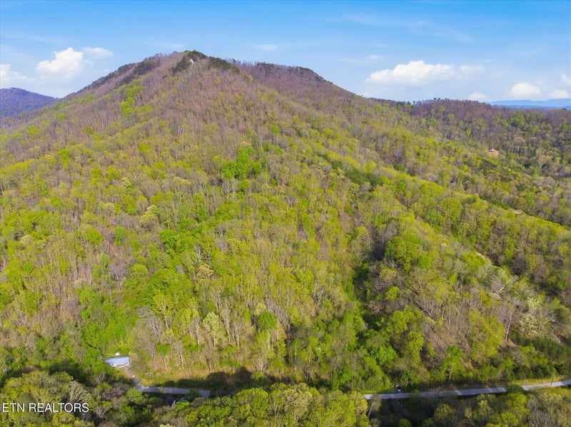Luttrell, TN 37779