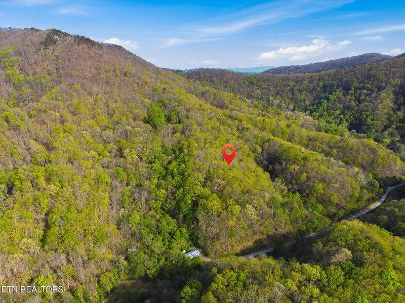 Luttrell, TN 37779