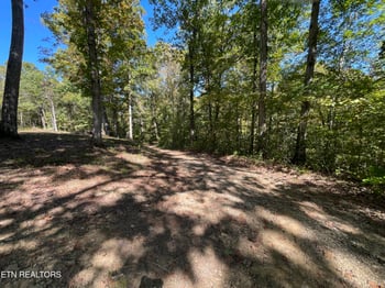 Madisonville, TN 37354