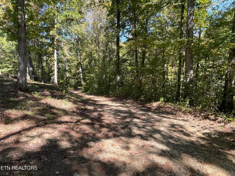 Madisonville, TN 37354