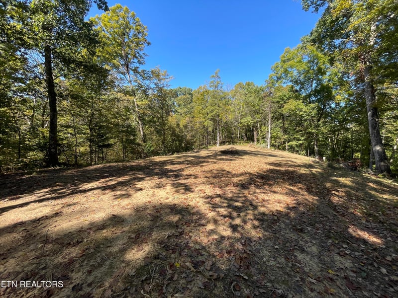 Madisonville, TN 37354