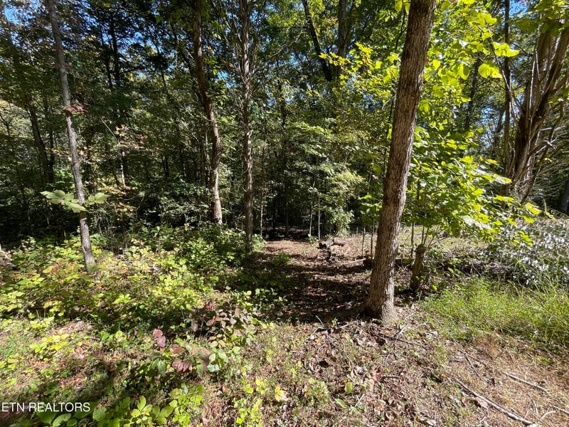 Madisonville, TN 37354