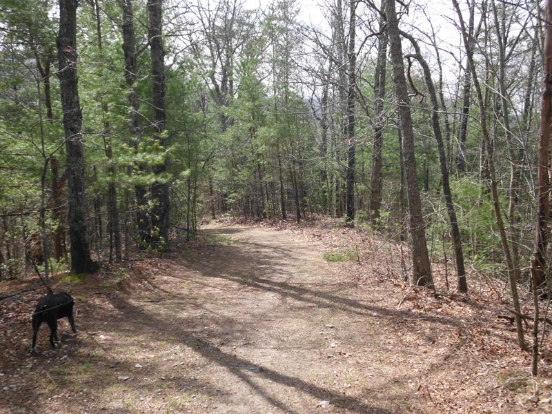 Off Harold Witt Rd, Tellico Plains, TN 37385