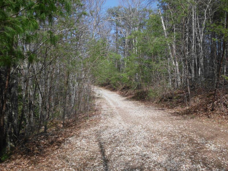 Off Harold Witt Rd, Tellico Plains, TN 37385