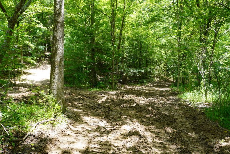 PAR 033.01 Joppa Mtn Rd, Rutledge, TN 37861