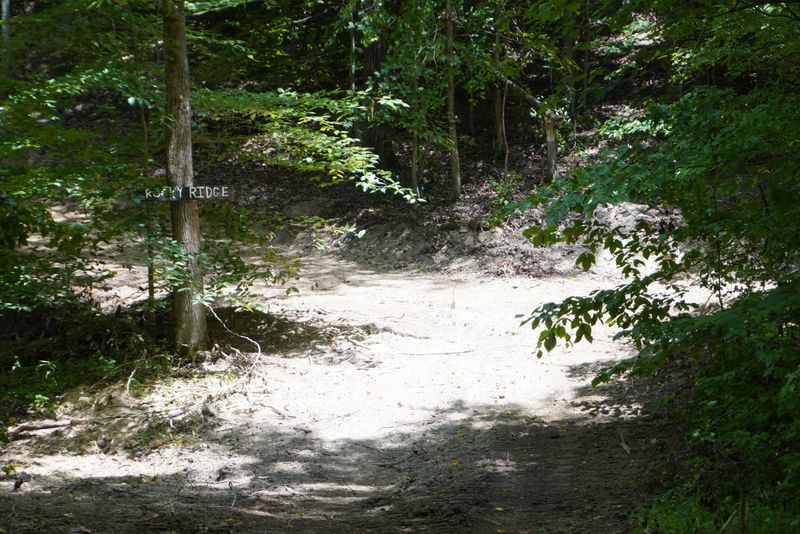 PAR 033.01 Joppa Mtn Rd, Rutledge, TN 37861