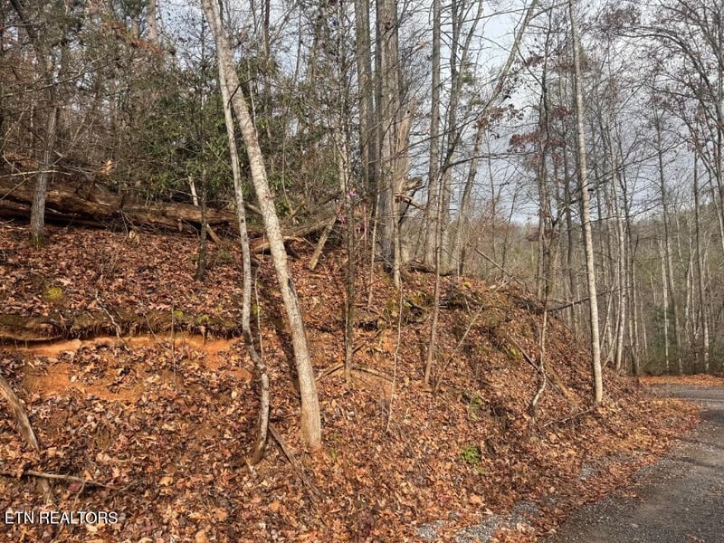 Par 202.03 Autumn Ln, Gatlinburg, TN 37738