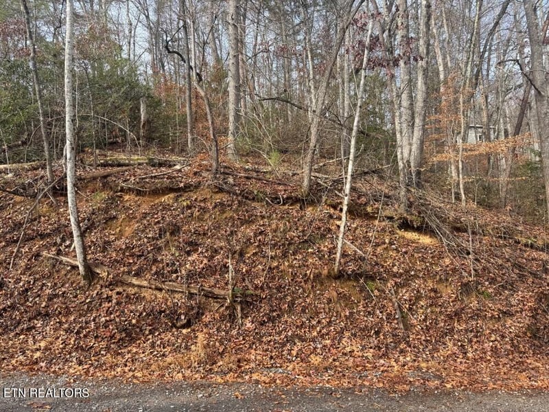 Par 202.03 Autumn Ln, Gatlinburg, TN 37738