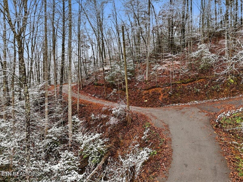 Par 202.03 Autumn Ln, Gatlinburg, TN 37738
