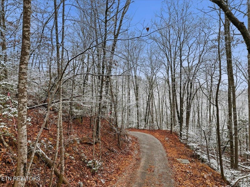 Par 202.03 Autumn Ln, Gatlinburg, TN 37738
