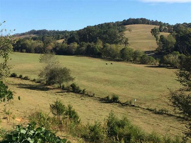 Par 9.01 Narrow, Rutledge, TN 37861