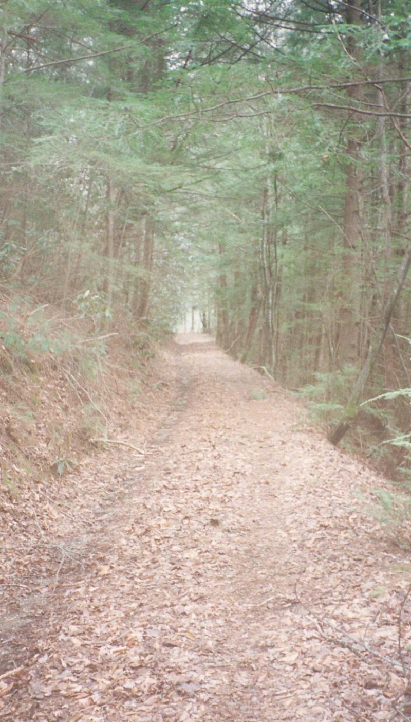 Parcel 031 Off Henry Town Rd, Sevierville, TN 37876