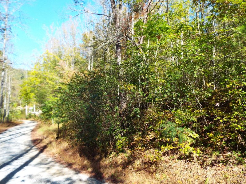 Parcel 086 Otto Williams Rd, Cosby, TN 37722