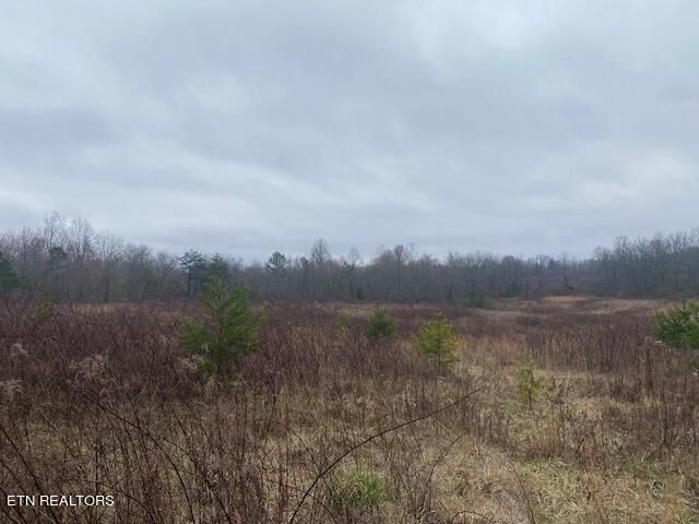 Parcel 1 Rome Rd, Deer Lodge, TN 37726
