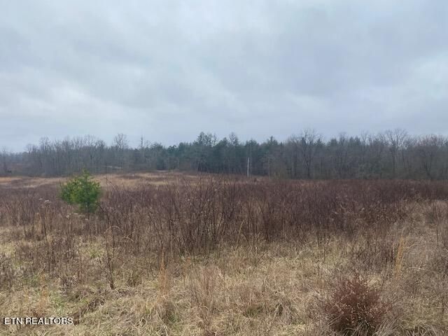 Parcel 1 Rome Rd, Deer Lodge, TN 37726