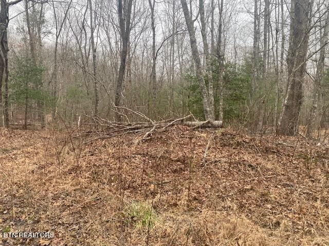 Parcel 1 Rome Rd, Deer Lodge, TN 37726
