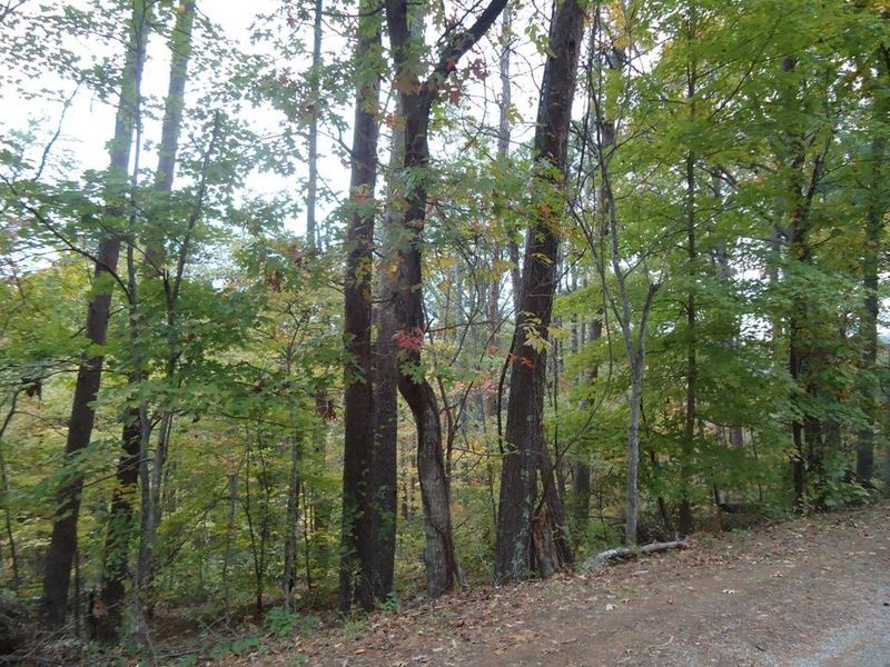 Parcel 129 Nebo Mountain Rd, Walland, TN 37886