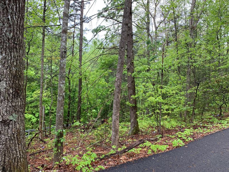 Parcel 22 Proffitt Rd, Gatlinburg, TN 37738