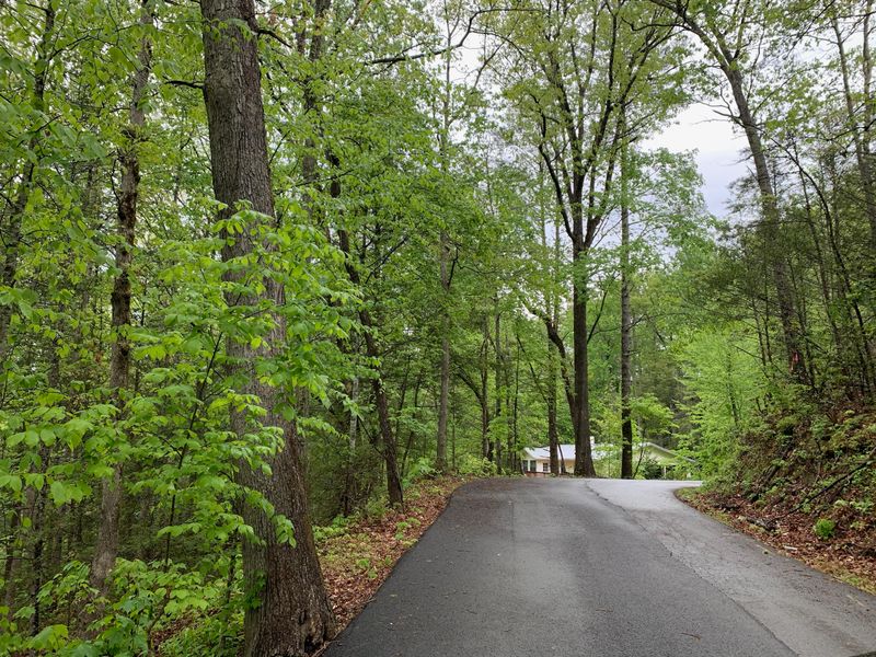Parcel 22 Proffitt Rd, Gatlinburg, TN 37738