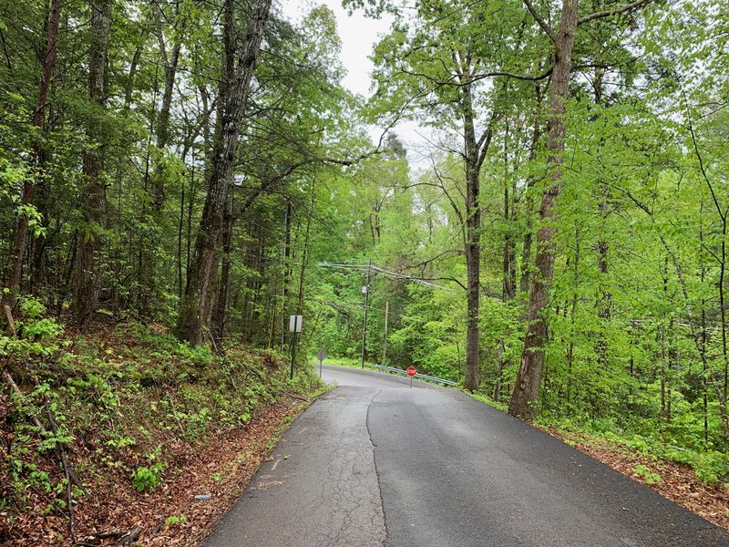 Parcel 22 Proffitt Rd, Gatlinburg, TN 37738
