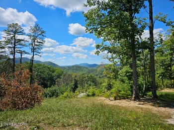 Phase B Crown Cir, Sevierville, TN 37862