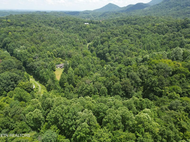 Seymour, TN 37865