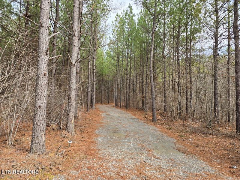 T23L4 Sheep Ranch Rd, Robbins, TN 37852