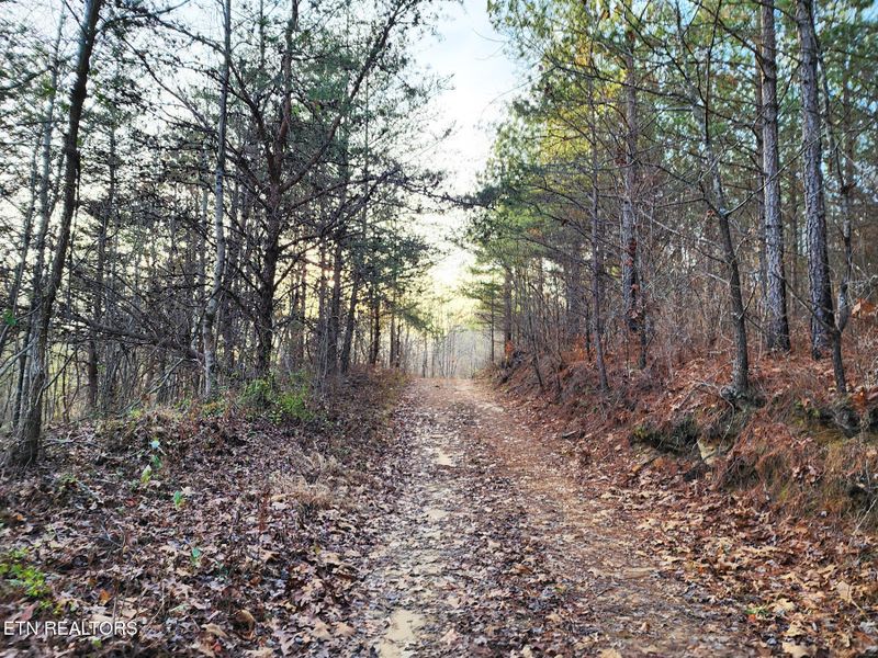 T27 West Robbins Rd, Robbins, TN 37852
