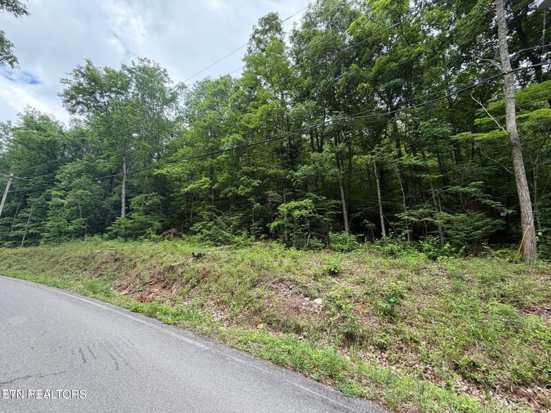 TBD Alpine Dr, Sevierville, TN 37876