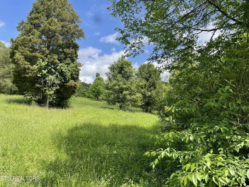 TBD Anderson Bend Rd, Russellville, TN 37860