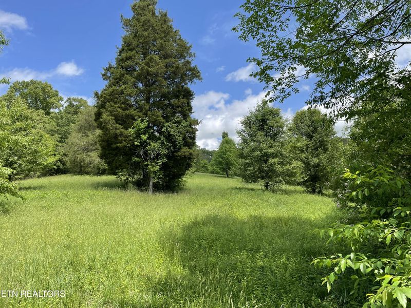 TBD Anderson Bend Rd, Russellville, TN 37860