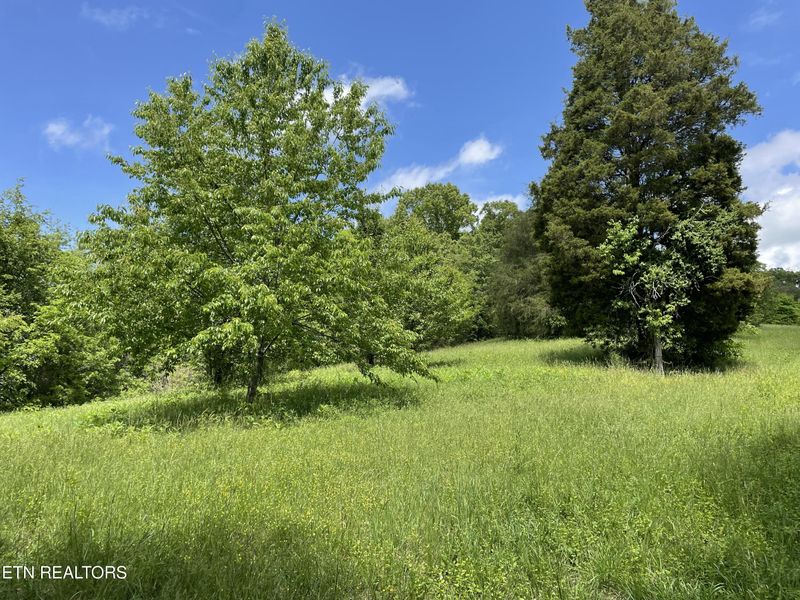 TBD Anderson Bend Rd, Russellville, TN 37860
