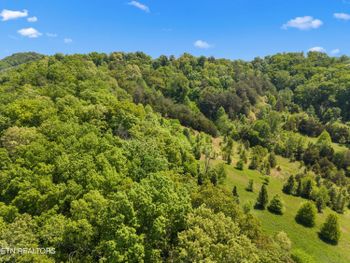TBD Anderson Bend Rd, Russellville, TN 37860