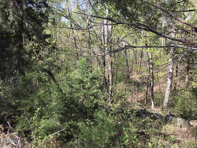 TBD Buck Horn Rd, Sevierville, TN 37876