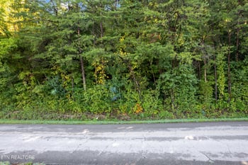 TBD Delozier Ln, Rockwood, TN 37854