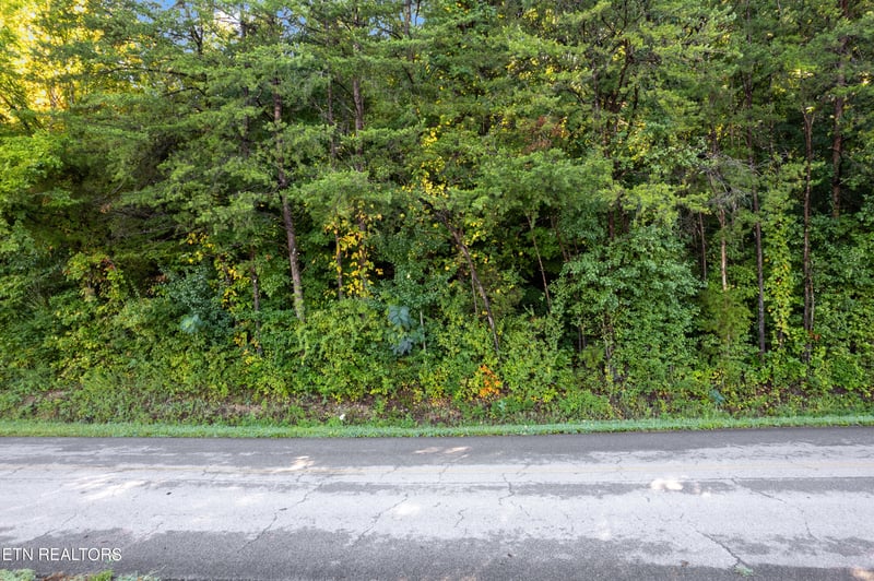 TBD Delozier Ln, Rockwood, TN 37854