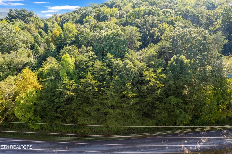 TBD Delozier Ln, Rockwood, TN 37854