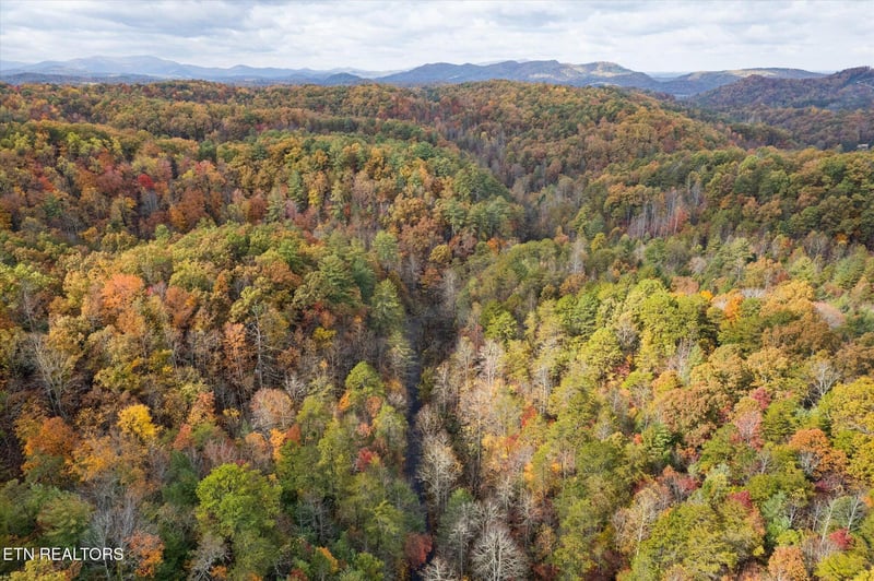 TBD Evans Chapel Rd, Sevierville, TN 37876
