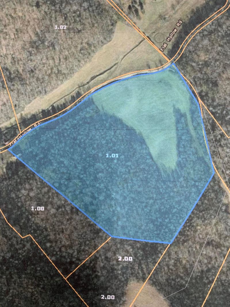 Tbd Flat Hollow Rd, Speedwell, TN 37870