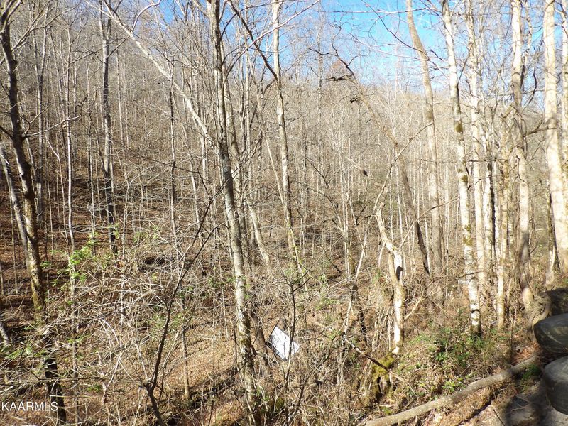 TBD Gaylor Rd, Lafollette, TN 37766