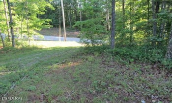 TBD Green Ridge Tr, Harriman, TN 37748