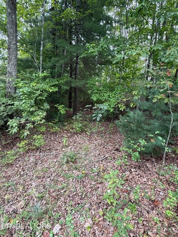 TBD Green Ridge Tr, Harriman, TN 37748