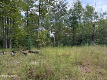 TBD Green Ridge Tr, Harriman, TN 37748
